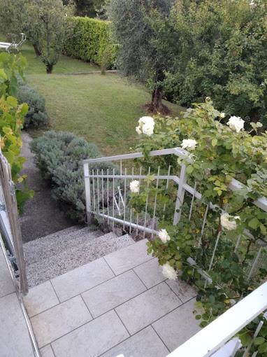 The Magic House With Garden *